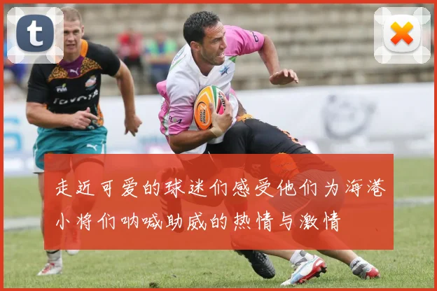 走近可爱的球迷们感受他们为海港小将们呐喊助威的热情与激情